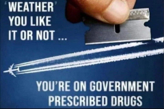 IMG_1148
